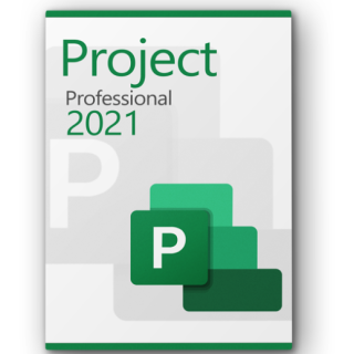 Microsoft Project Pro 2021
